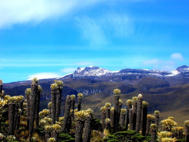 Los Nevados National Natural Park